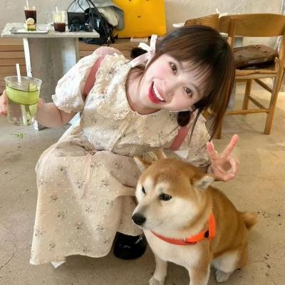 幸福是一尾皱颈蜥蜴