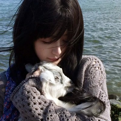 卫斯理之老猫